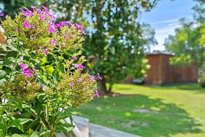 03 Pix07186