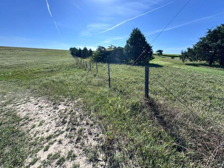 Wire Fence And Evergreen Trees Ranch Nebraska Stevens Dawson County Nebraska 477 Stevens Dawson County