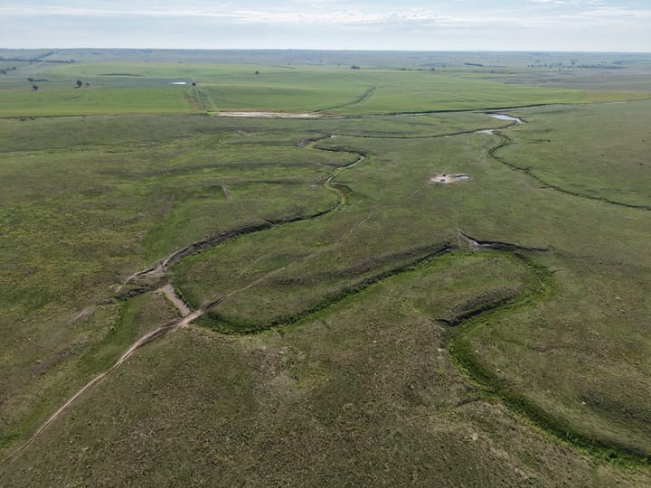 Aerial View Winding Incised Drainage Pasture Land Nebraska Stevens Dawson County Nebraska 477 Stevens Dawson County