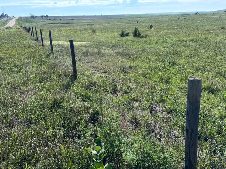 Barbed Wire Fence Green Pasture Ranch Nebraska Stevens Dawson County Nebraska 477 Stevens Dawson County
