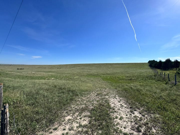 Open Pasture With Dirt Path Land Nebraska Stevens Dawson County Nebraska 477 Stevens Dawson County