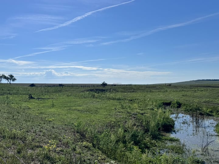 Pasture Land With Small Pond Ranch Nebraska Stevens Dawson County Nebraska 477 Stevens Dawson County