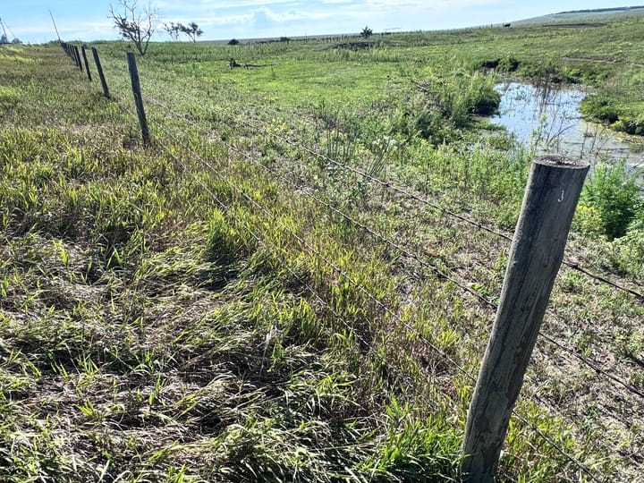 Barbed Wire Fence Line Vegetated Pond Ranch Nebraska Stevens Dawson County Nebraska 477 Stevens Dawson County