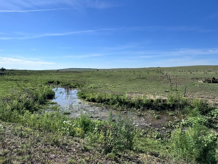 Winding Shallow Pond In Pasture Ranch For Sale Nebraska Stevens Dawson County Nebraska 477 Stevens Dawson County