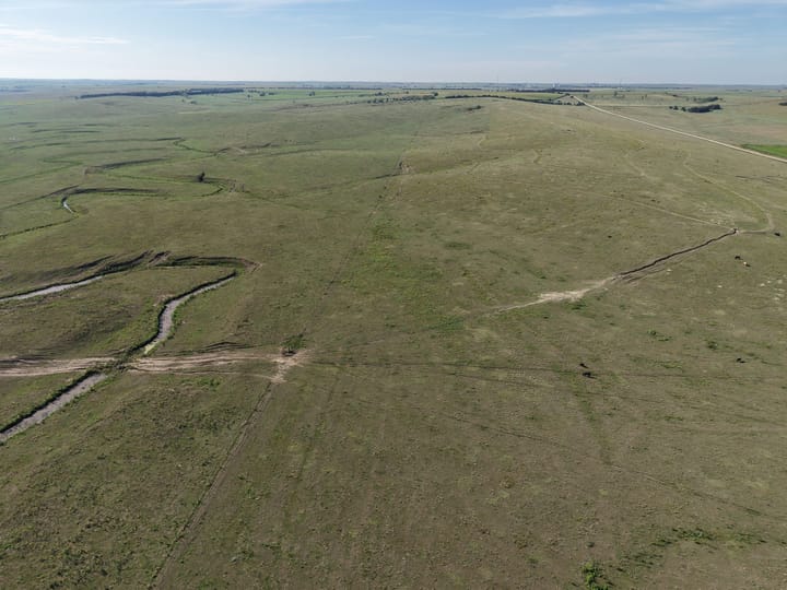 Rolling Pasture With Winding Creek And Cattle Land Nebraska Stevens Dawson County Nebraska 477 Stevens Dawson County