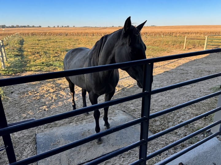 Horse Corral Area Nebraska S Buffalo Rd North Platte Nebraska 8184 S Buffalo Rd North Platte