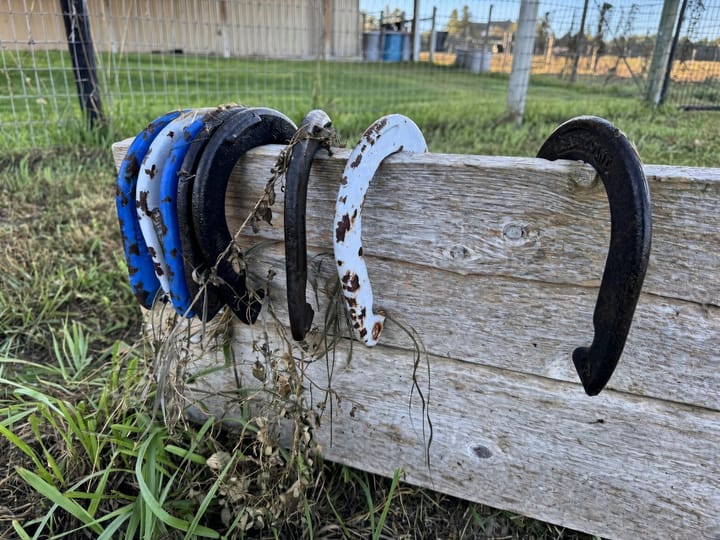 Equestrian Detail Land For Sale Nebraska S Buffalo Rd North Platte Nebraska 8184 S Buffalo Rd North Platte