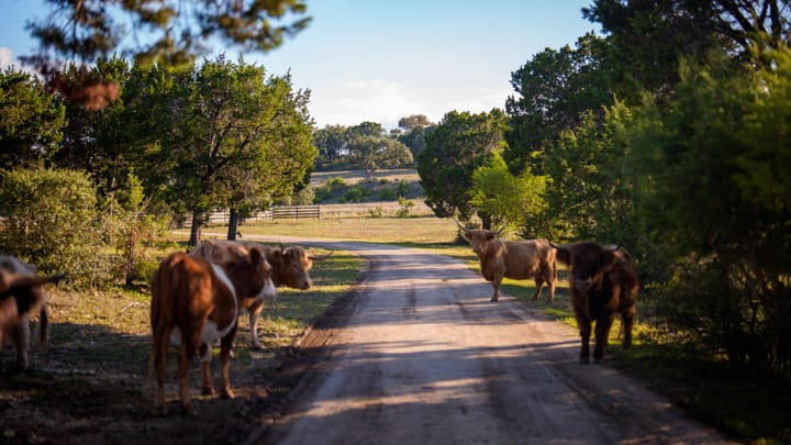Sunset Oak Retreat23 Acre Property For Sale Comal County Image 7