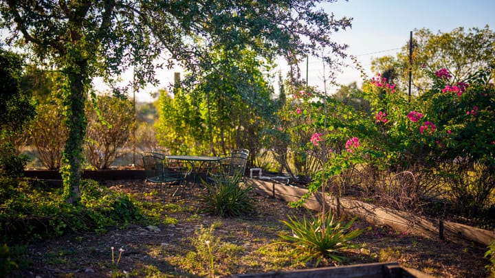 Sunset Oak Retreat23 Acre Property For Sale Comal County Image 34