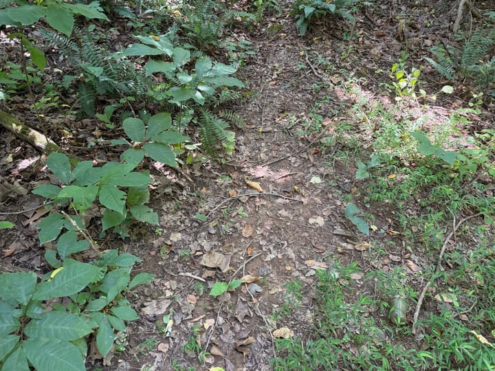Photo18