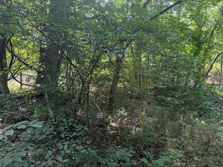 Photo15