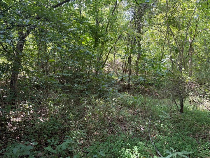 Photo16
