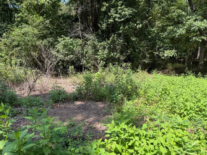 Photo10