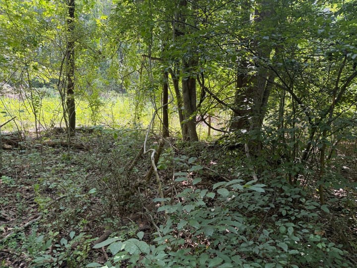 Photo14