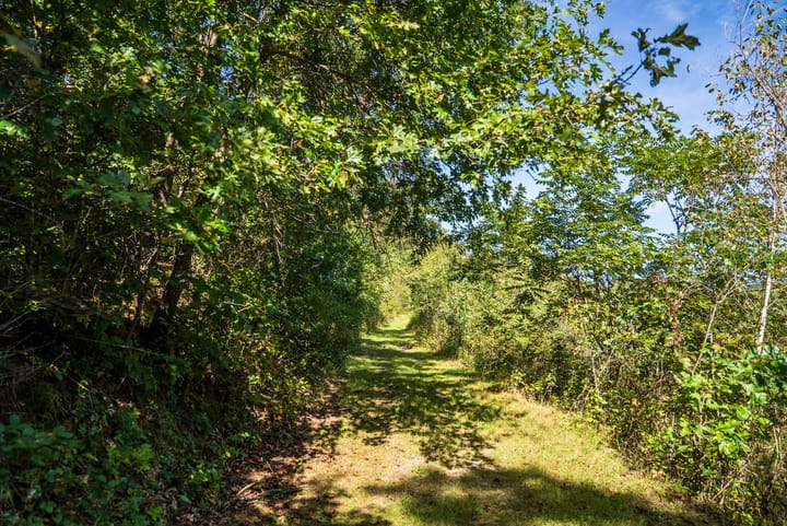 Dsc05187