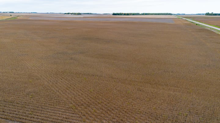 15 Dji 0783