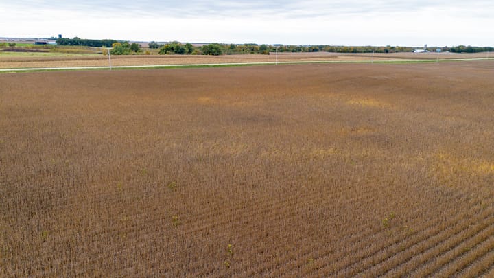 17 Dji 0787