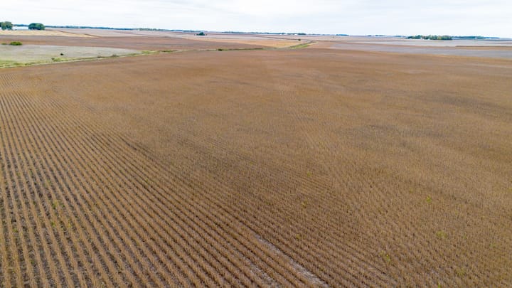 14 Dji 0782