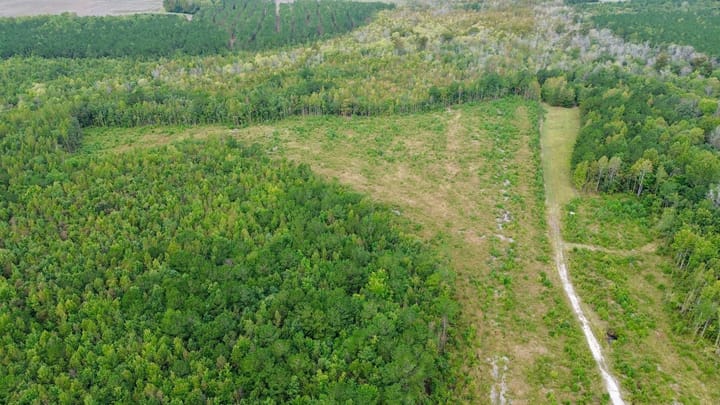 Dji Fly 20260929 101512 90 1790691437647 Photo Optimized