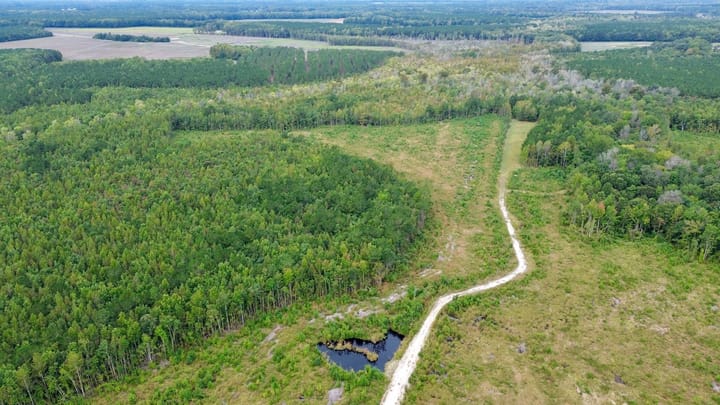 Dji Fly 20260929 101452 89 1790691411251 Photo Optimized