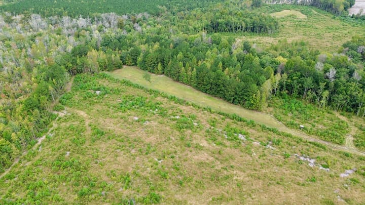 Dji Fly 20260929 101712 93 1790691514152 Photo Optimized