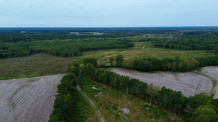 Dji Fly 20260929 101300 82 1790691211974 Photo Optimized
