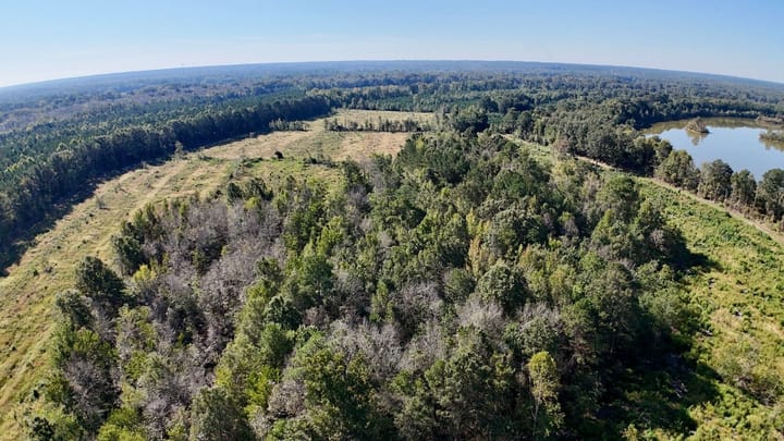 Dji Fly 20260929 103444 0933 1790696301458 Photo