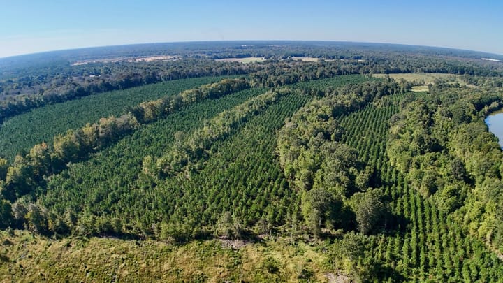 Dji Fly 20260929 103540 0936 1790696300637 Photo