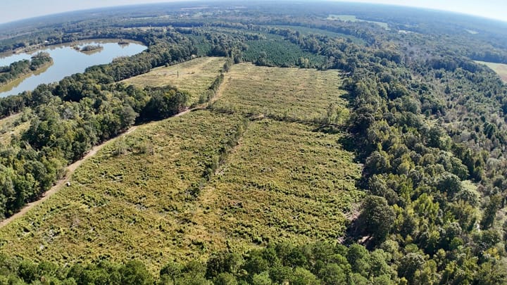 Dji Fly 20260929 103846 0947 1790696296949 Photo
