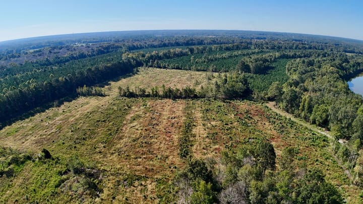 Dji Fly 20260929 103504 0934 1790696301184 Photo