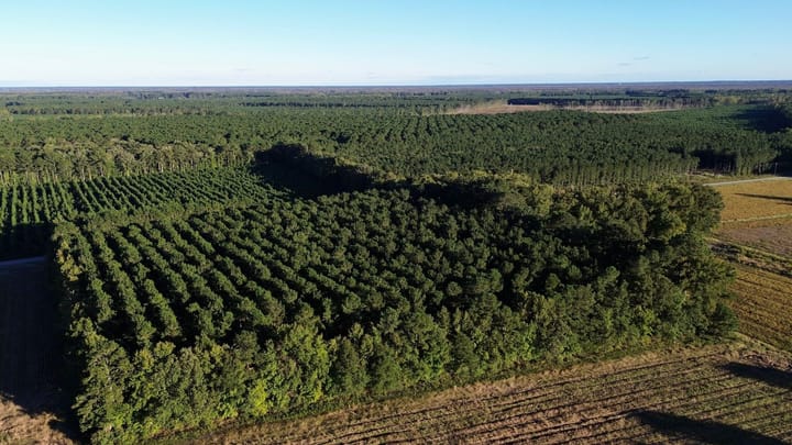 Dji Fly 20261012 173236 133 1791840817100 Photo Optimized