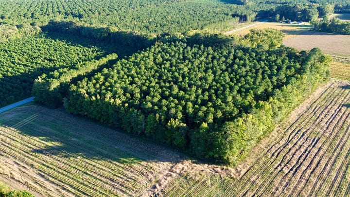 Dji Fly 20261012 173156 132 1791840817103 Photo Optimized