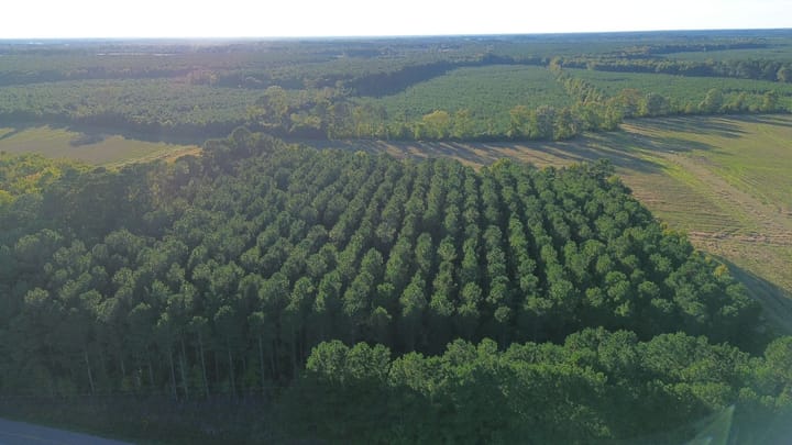Dji Fly 20261012 172956 126 1791840635784 Photo Optimized Jpg