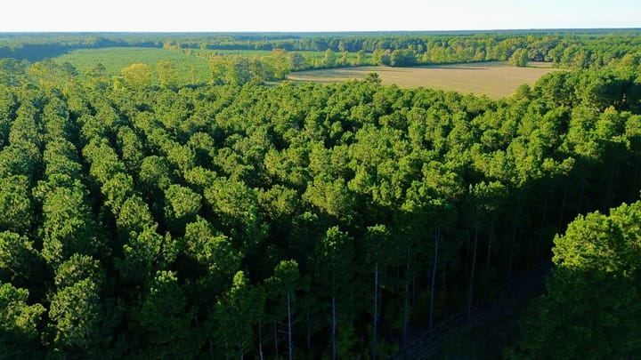 Dji Fly 20261012 173424 136 1791840960059 Photo Optimized