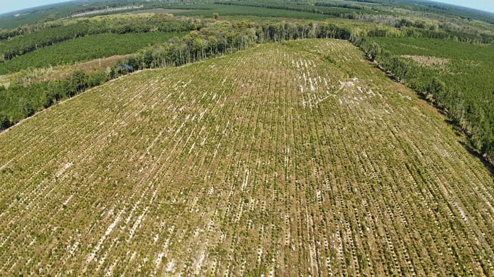 Dji Fly 20260916 120228 0918 1789580997838 Photo