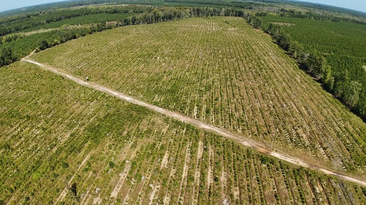 Dji Fly 20260916 120208 0917 1789580998211 Photo