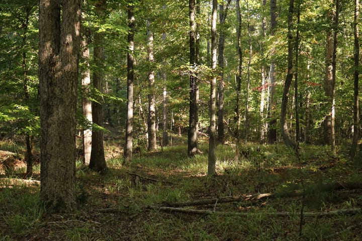 Img 3996 Jpg