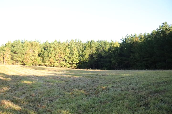 Img 3925 Jpg