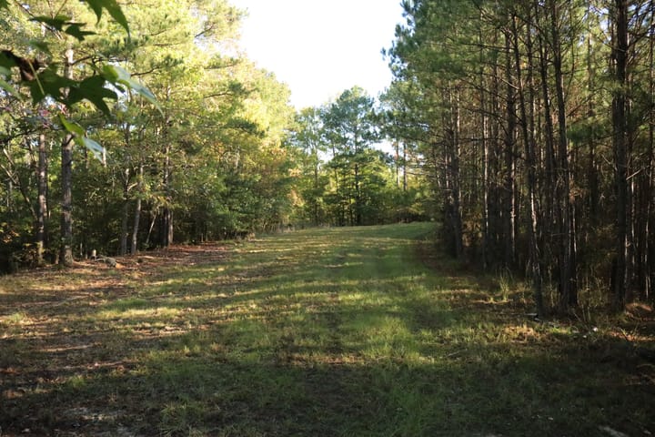 Img 3954 Jpg