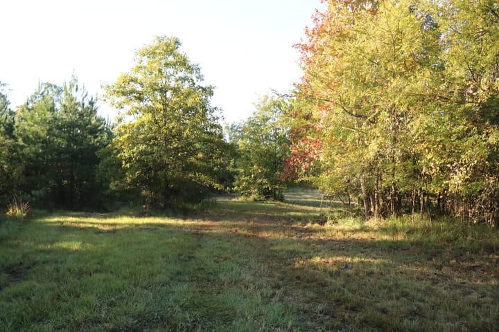Img 3926 Jpg