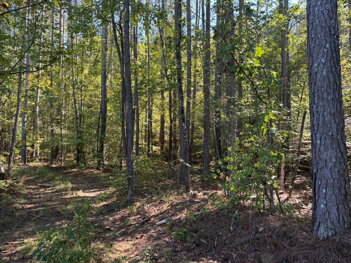 B02a4757 6ed6 420f B0d9 Accade03a0b0 1 102 O Jpeg