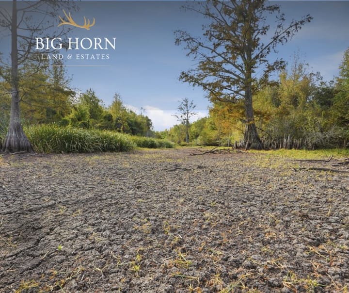Img 2474