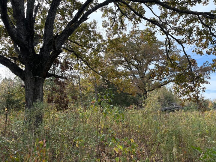 Img 0136 Jpeg
