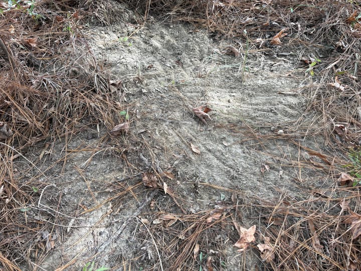 Img 0071 Jpeg