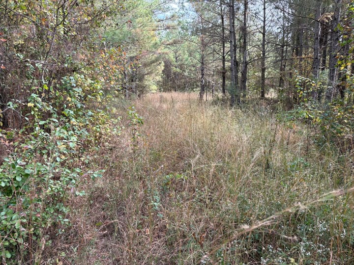 Img 0101 Jpeg
