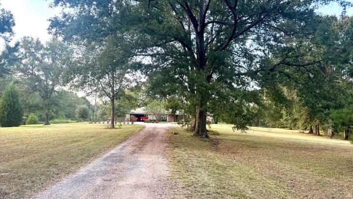 Front Yard