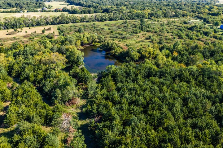 Dji 20260903094702 0699 D