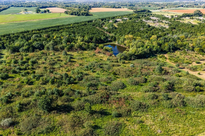 Dji 20260903094232 0686 D