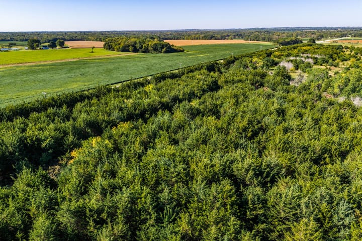 Dji 20260903094347 0691 D