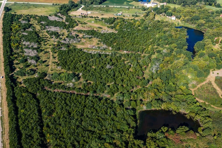Dji 20260903094521 0696 D